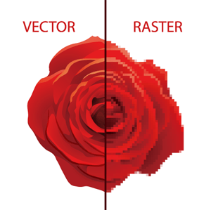 ビットマップ画像とベクター画像について