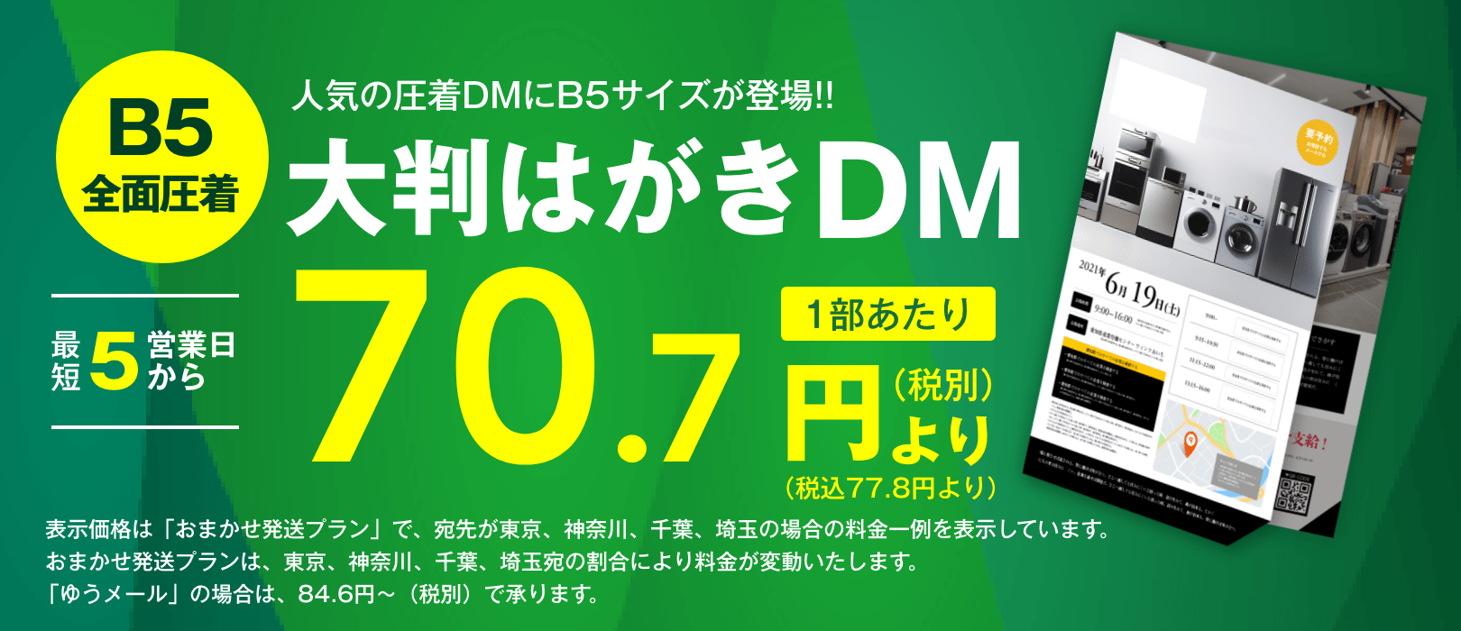 B5全面圧着大判はがきDM｜短納期・低価格のDM発送代行ならセルマーケ