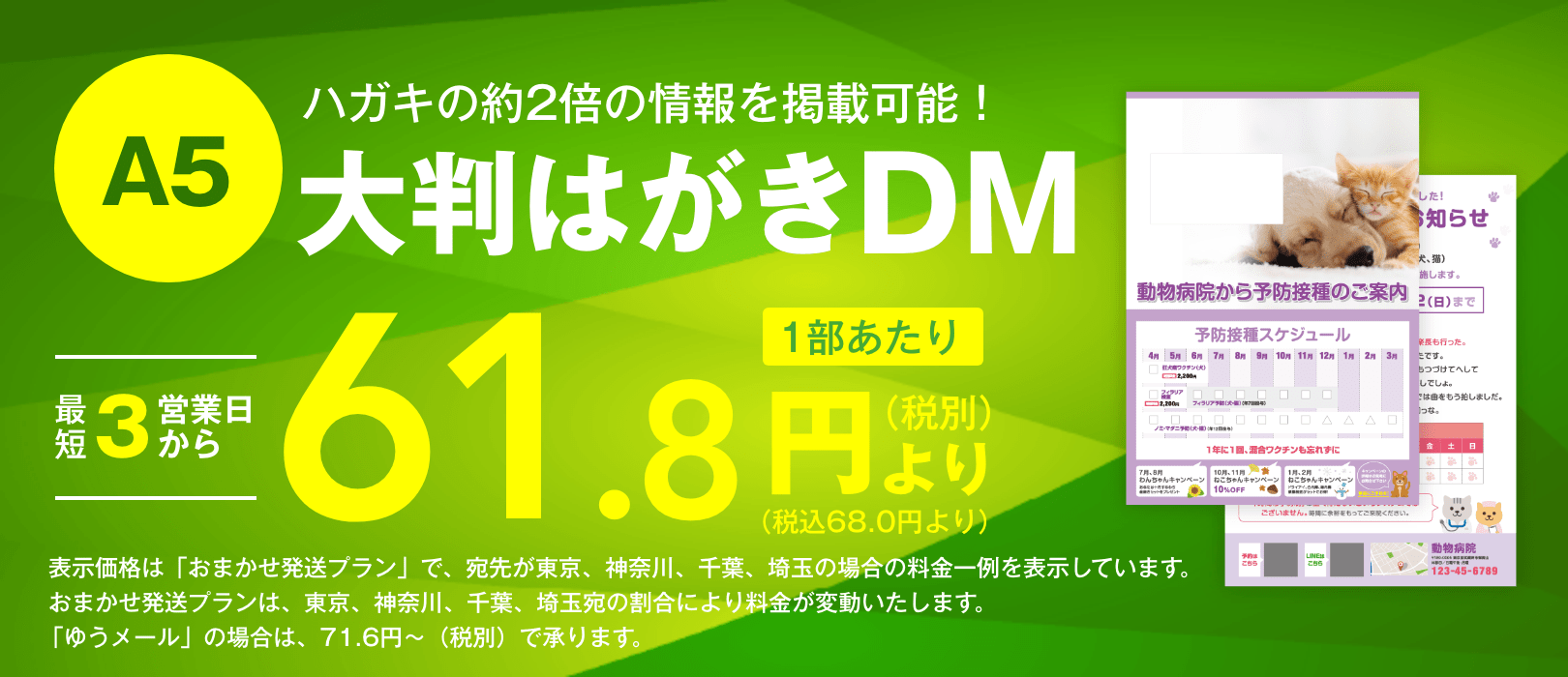 A5大判はがきDM｜短納期・低価格のDM発送代行ならセルマーケ