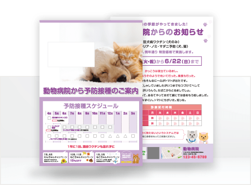 大判はがきDM｜短納期・低価格のダイレクトメール印刷発送【セルマーケ】