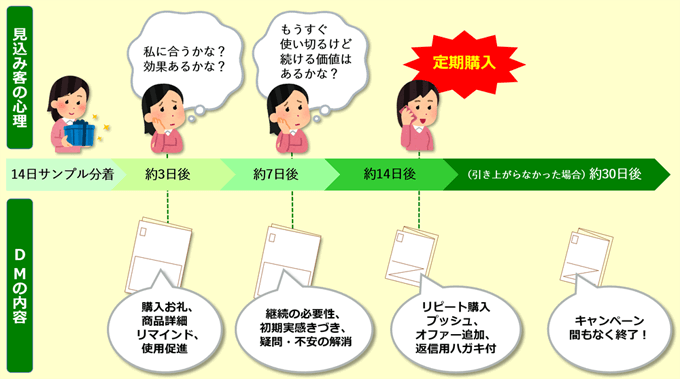 例文 デザイン例あり 化粧品業界での効果的なdm作成方法 セルマーケ
