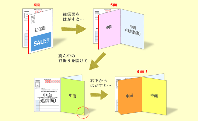 圧着DM_往復8面展開型