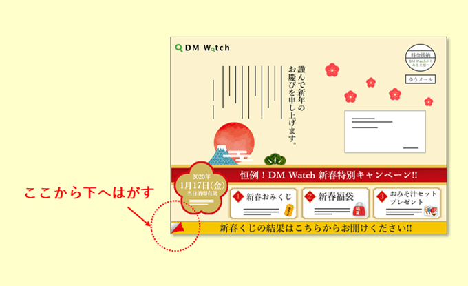 ド迫力の特大圧着DM例①