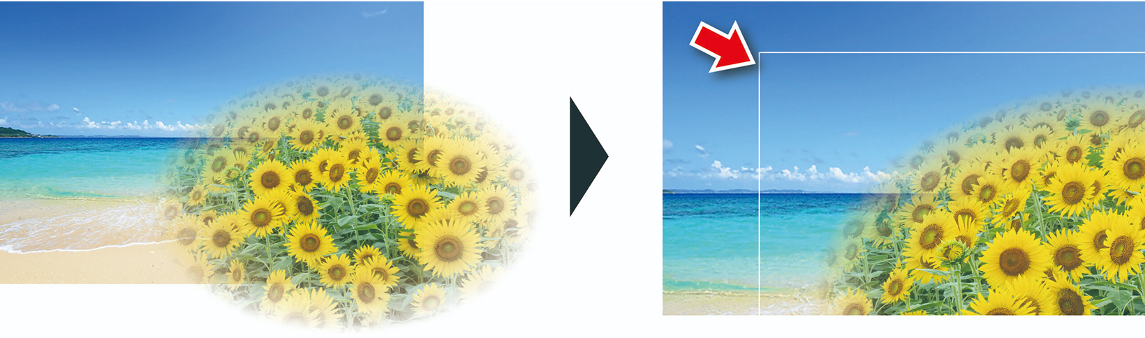 影・ぼかし・透かし効果の印刷例